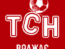 Сьогодні TCH.ua змінив логотип на знак підтримки ФК «Дніпро»