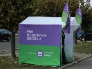 Донбасс предвыборный