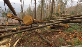 На знімальну групу ТСН напали під час зйомки сюжету про незаконну вирубку лісу на Івано-Франківщині (ОНОВЛЕНО)