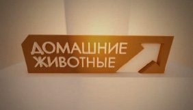 НТГ просить вибачення за георгіївську стрічку в ефірі трансльованих російських програм