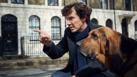 У четвертому сезоні серіалу «Шерлок» з’явиться пес