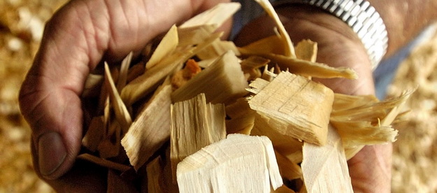 Ціна заборони: як мораторій на експорт деревини вплинув на економіку України