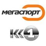 ВАТ «Київтелемонтаж», ставши «Мегаспортом», отримав у 2008 році дохід 22,090 млн грн