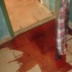 У Харкові похоронними вінками, кров’ю із потрухами залякують журналістів