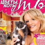 «Картель» запустила жіночий журнал про квіти та котів