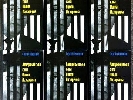 Лещенко видав книгу &laquo;Амерканська сага Павла Лазаренка&raquo;