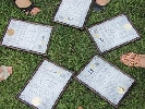 &laquo;Журналістика цифрового майбутнього&raquo; випустила шостий набір слухачів
