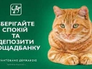 Протягом двох місяців «Ощадбанк» витратив близько 50 млн грн лише на зовнішню рекламу