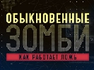 Канал «Україна» покаже проект «Звичайні зомбі. Як працює брехня» 20 лютого