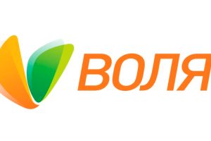 ВОЛЯ придивляється до Житомира