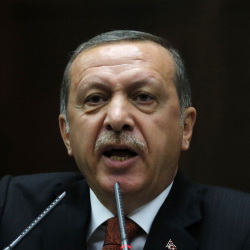 Карикатуристів в Туреччині засудили за образу президента Ердогана