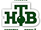 Колишній ведучий ТЕТ і Tonis Данило Грачов став телеведучим ранкової програми на НТВ