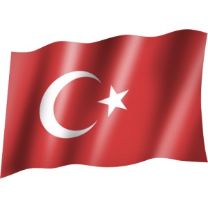 МЗС Туреччини засудило відмову в реєстрації кримськотатарських ЗМІ