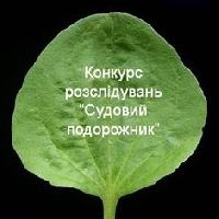 До 1 липня – подання робіт на конкурс журналістських розслідувань «Судовий подорожник»