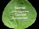 До 1 липня – подання робіт на конкурс журналістських розслідувань «Судовий подорожник»