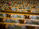 Заголовок: Верховна Рада восьмого скликання: законодавчі ініціативи у сфері лісової політики