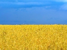 Телевізійне меню Дня незалежності