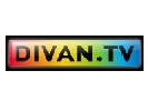 Divan.TV домовився про трансляцію преміум-каналів від Viasat
