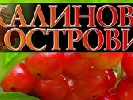 Черговий фестиваль «Калинові острови» відбудеться 18-19 жовтня у Дніпропетровську