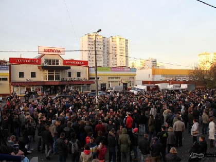 Віруси по-бірюльовськи