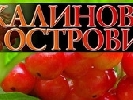 У Дніпропетровську завершився фестиваль теле- і радіопрограм «Калинові острови»