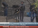 У Львові журналістам каналу Lviv24 перешкоджали знімати сюжет про знущання над рідкісними птахами
