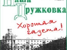 Суд у Дружковці відмовив депутату-регіоналу у позові до місцевої газети