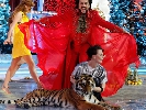 Новорічне ТБ: Кіркоров з тигром, «брюнет» Басков, Маша-мєдвєдь і… Забужко