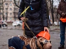 Письменники провели акцію під Лук‘янівським СІЗО
