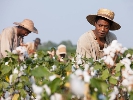 «Оскар»: 86 років рабства
