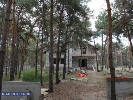 Лес для прокурора