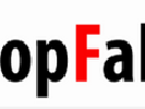 Українське інтернет-видання StopFake на 30% фінансують з Росії