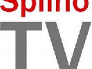 «Нарнія» відхрещується від нападу на журналістів Spilno.TV – медійники стверджують, що її члени порушують закон