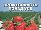 Через побутову сварку побито головного редактора журналу «Плантатор»
