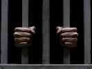 В Єгипті заради покращення міжнародного іміджу Президента звільнили з-за ґрат декількох репортерів – CPJ