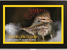 Журнал «National Geographic Україна» став доступний у Android-додатку