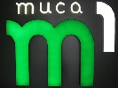 &laquo;Тиса-1&raquo;: у яке русло?