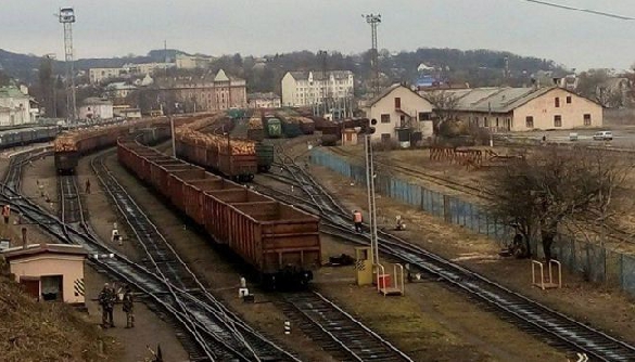 Як рубають і продають український ліс