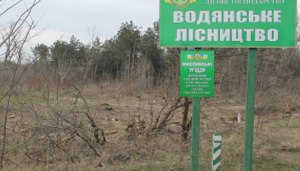 Водянское лесничество подаёт &laquo;SOS&raquo;