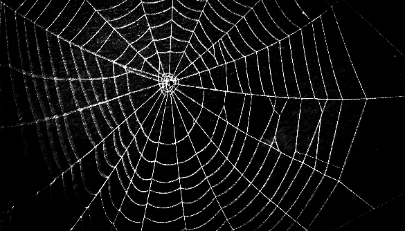 Другой интернет: секреты и возможности DarkWeb