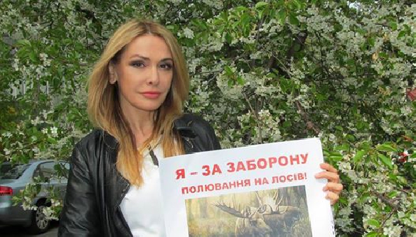 Лось в лесах Украины. Быть или не быть?
