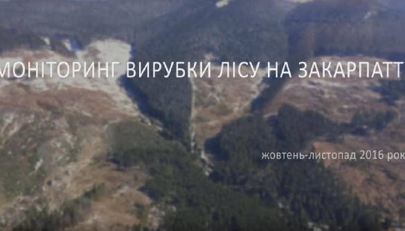 Ліси України в режимі онлайн