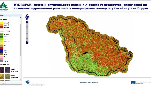 Ідеальний ліс: чи можливо таке на Закарпатті? Ідеальний ліс: чи можливо таке на Закарпатті?