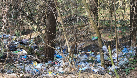 На місті нацпарків: сміттєзвалища і можлива забудова