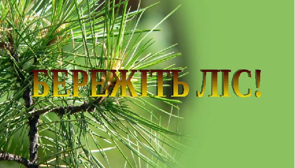 Последствия АТО. Курортная жемчужина Донбасса, Лиман, оказалась на грани экологической катастрофы
