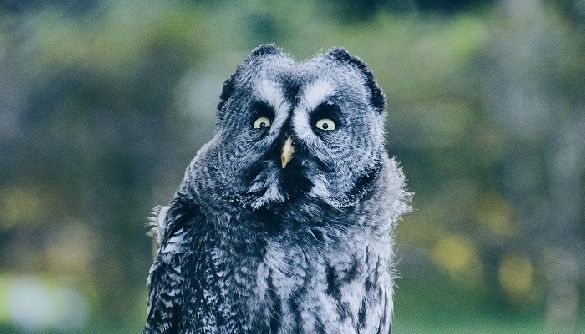 Як (не) дати інтерв&rsquo;ю на узгодження