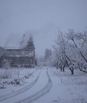На 53-му Міжнародному кінофестивалі у Карлових Варах представлять два проекти українських фільмів