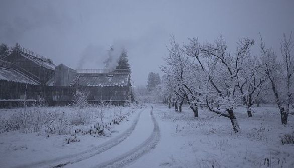 Держкіно уклало контракт на виробництво документального фільму «Історія Зимового саду»