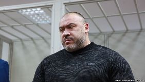 Крисіна повертають до київського СІЗО