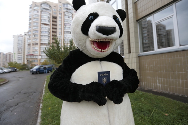 Панда-избиратель сбежала со съемочной площадки ТЕТа (ВИДЕО)